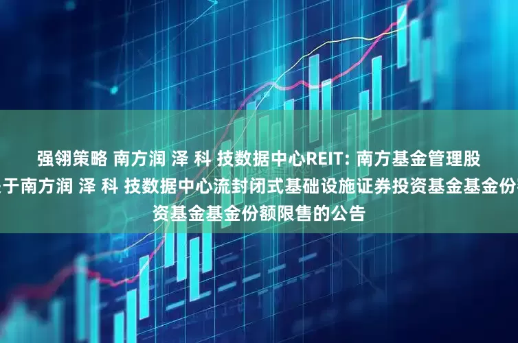 强翎策略 南方润 泽 科 技数据中心REIT: 南方基金管理股份有限公司关于南方润 泽 科 技数据中心流封闭式基础设施证券投资基金基金份额限售的公告