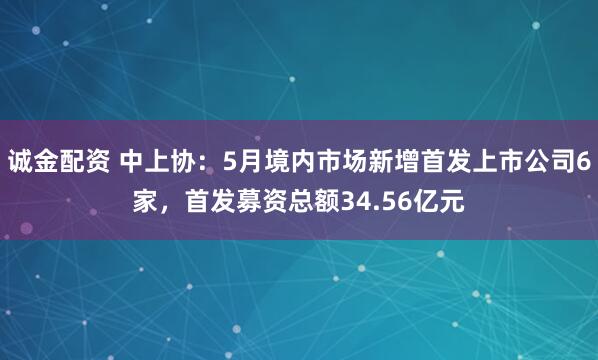 诚金配资 中上协：5月境内市场新增首发上市公司6家，首发募资总额34.56亿元